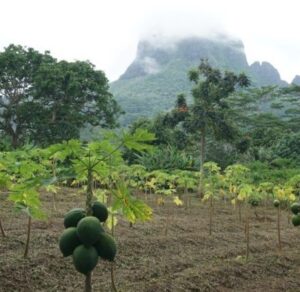 Temporada-de-lluvias-en-la-Polinesia-Francesa